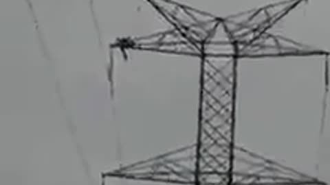 Fool on a electricity pole...