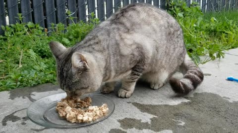 20240304 153552 Birthday Eating