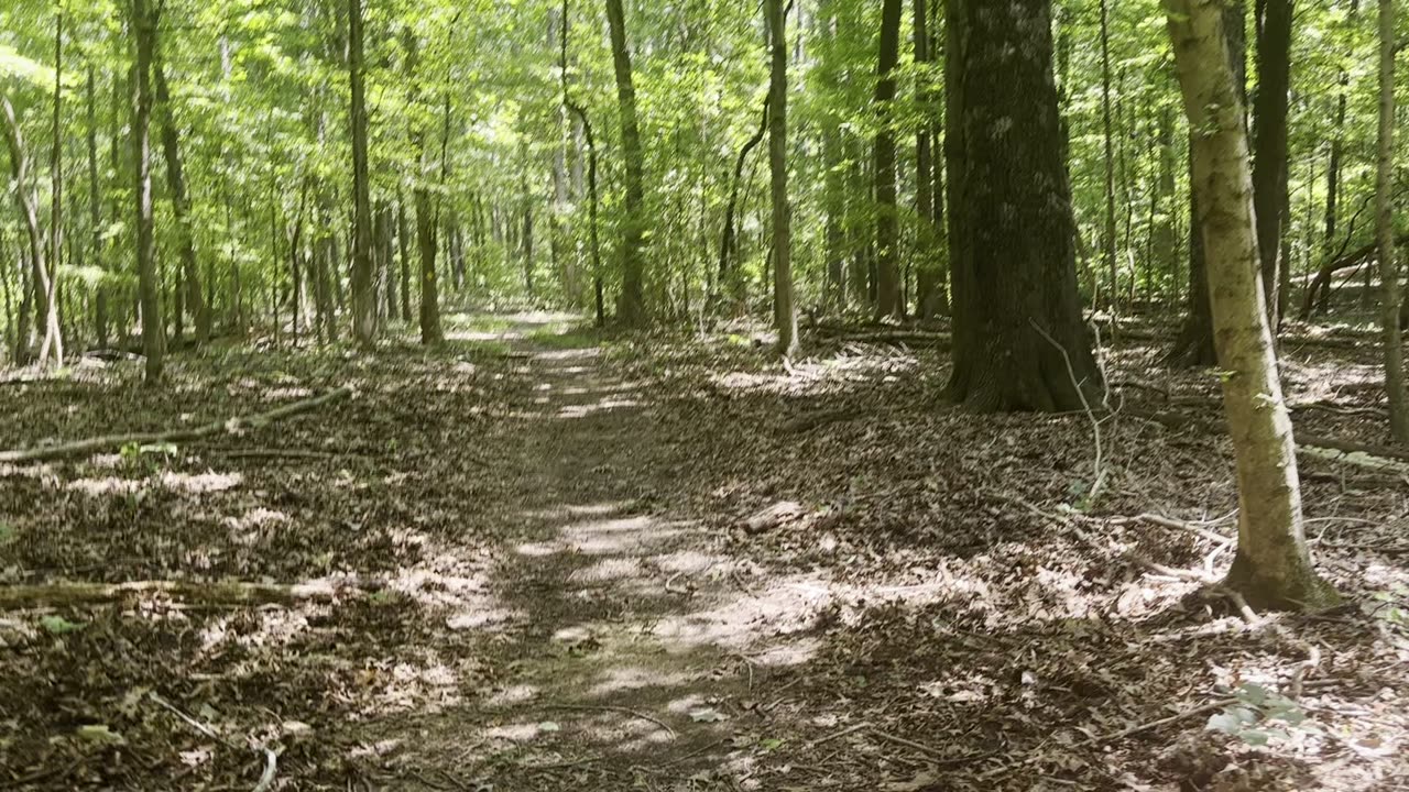 Trail hike at Hilman Ferry campground in LBL Kentucky