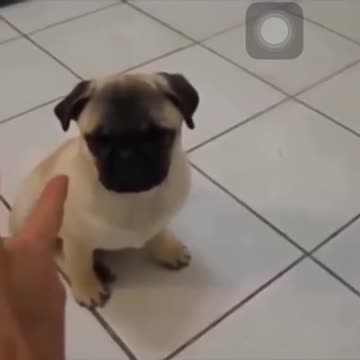 Found by youtuber MashupZone