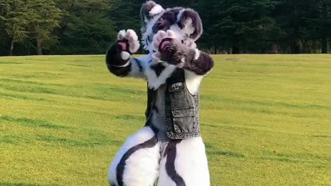 Furry Douyin #24