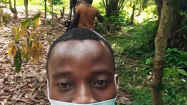 In a cocoa farm in West Africa