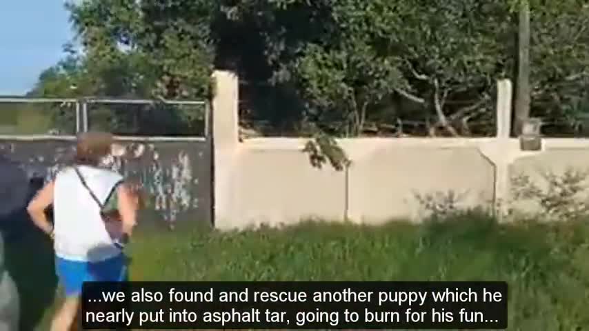 Rescue Puppy Was Threw Hot Asphalt Tar 4/5 Degree Burns With Rope Tied Around Her Necks Can't Escape