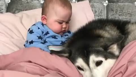 Babies and dogs
