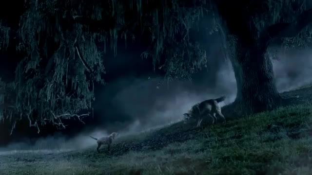 Budweiser Lost Dog Super Bowl Commercial Download Dropbox Convert next