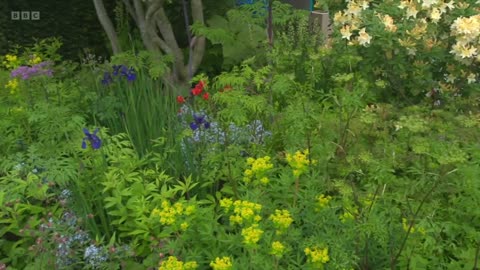 Gardening Tips May 26th 2023