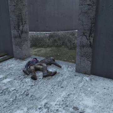 To Win Or To Lose In DayZ