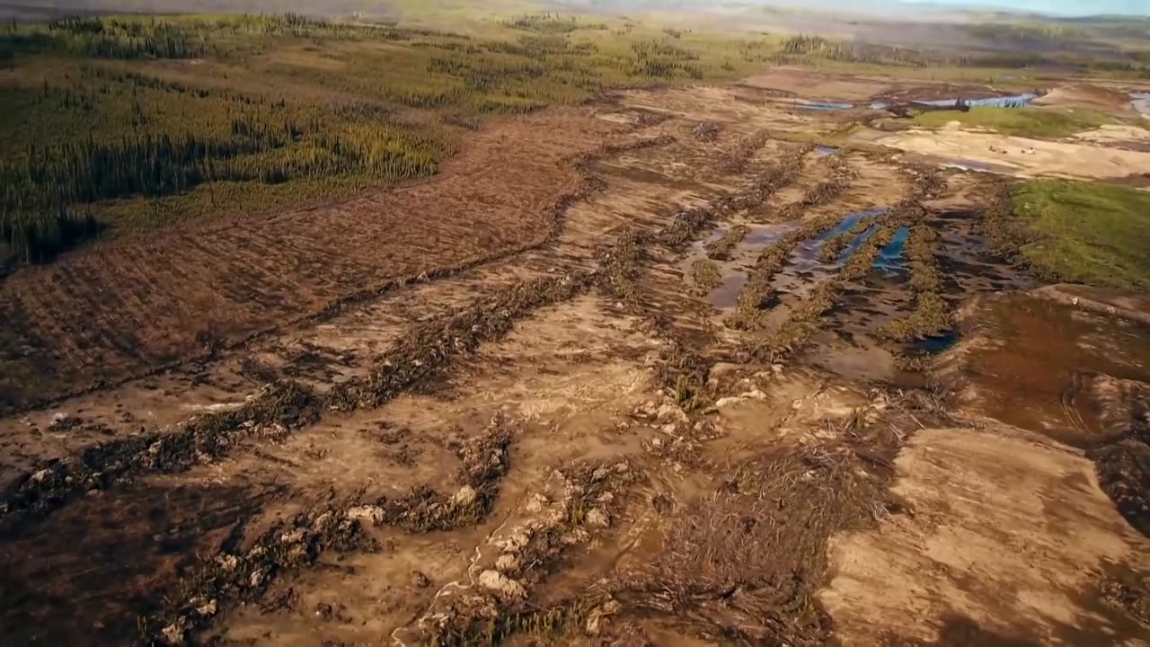 Parker Schnabel Typically The Foremost Crazy Treasure I Ever Found