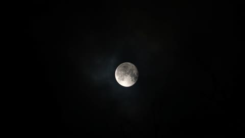Moonlight night full 😍