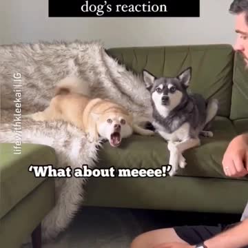 kiss 💋 me too #shorts