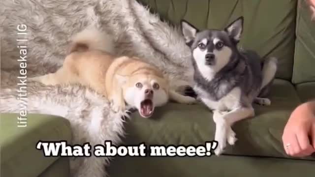 kiss 💋 me too #shorts