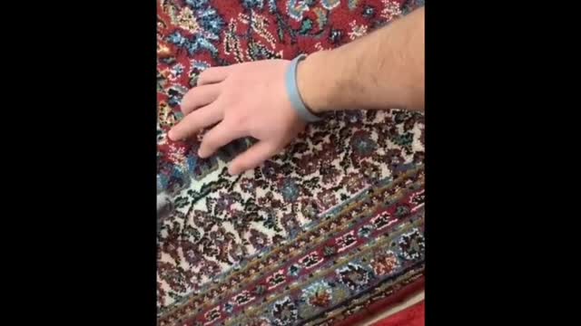 Funny Pet video of Cats and Dogs - Awesome reactions of the pets we love...