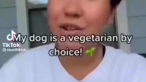 Vegetarian Dog???