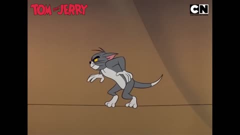 Tom & Jerry 😺🐭 Funniest Cat and Mouse Battle! 😺🐭 Compilation Funny Cartoon Video