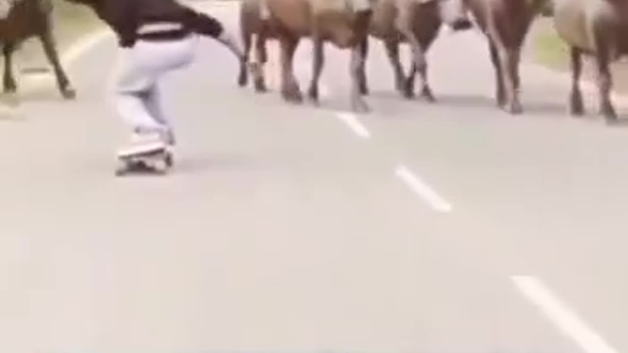 Animals funny video 🤣🤣🤣🤣🤣🤣