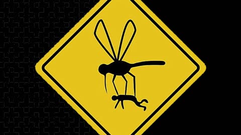 MOSQUITO dengue fever [california]