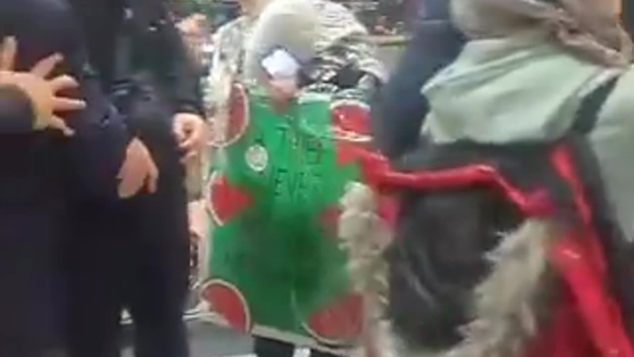 Anti-Israel protesters in a shopping mall in Toronto threaten to kill Christmas shoppers