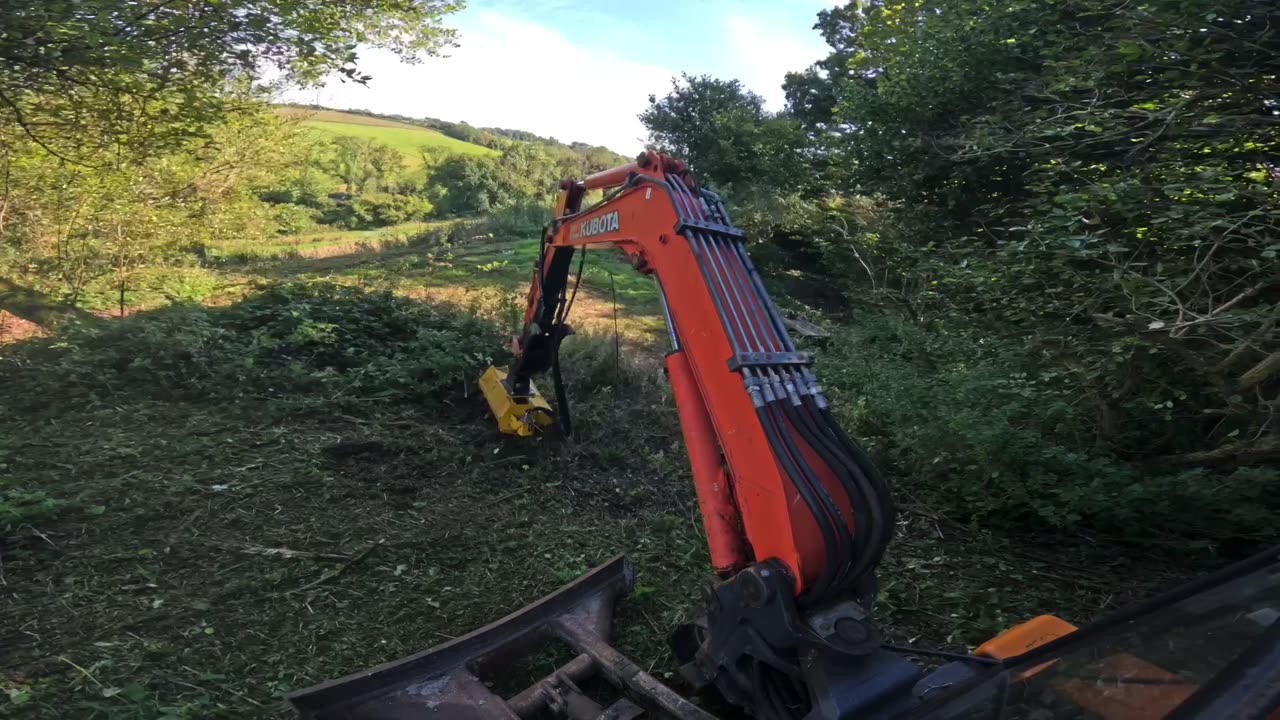 Clearing brambles in Sideling Field