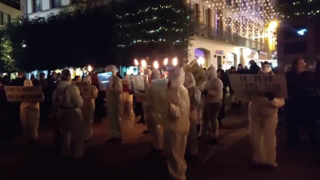 Les Masques BLancs Albi Action Pancartes le 11 décembre