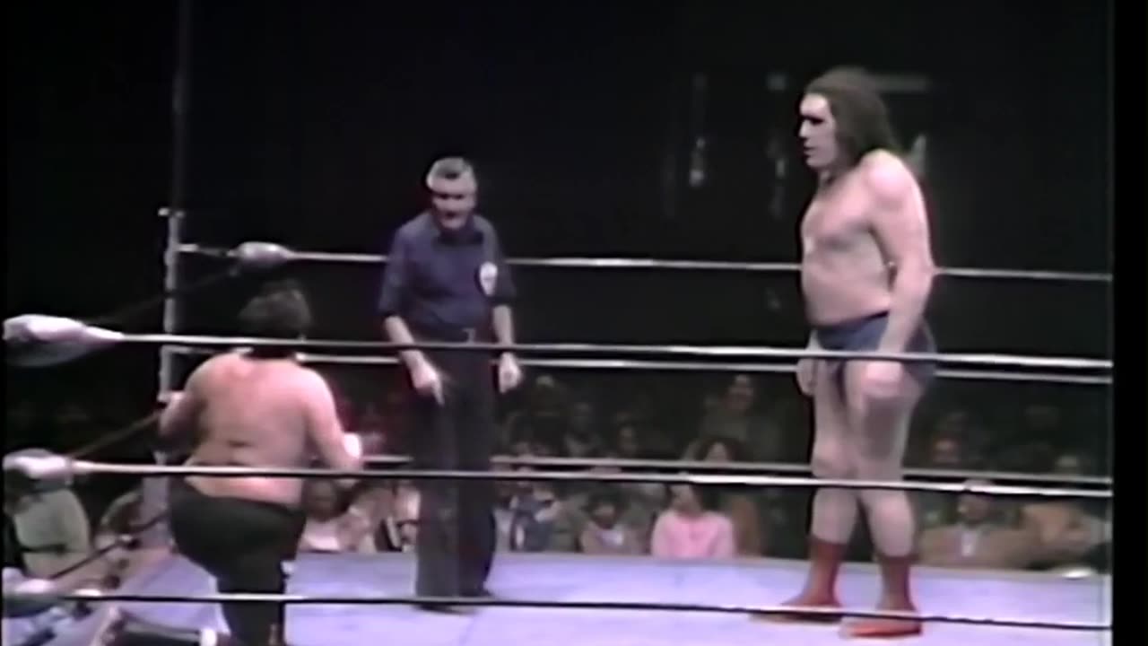 Andre the Giant vs Stan Stasiak (Oct 1980)