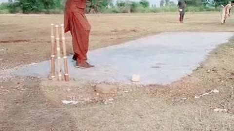 cricket video