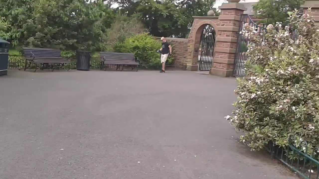 Man on Skateboard Goes Head First into Hedges