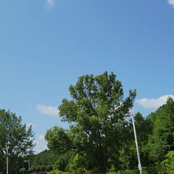 Richmond Airport - x5