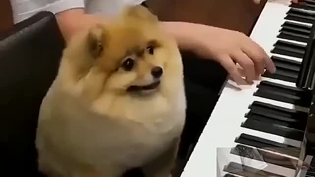I also want to learn