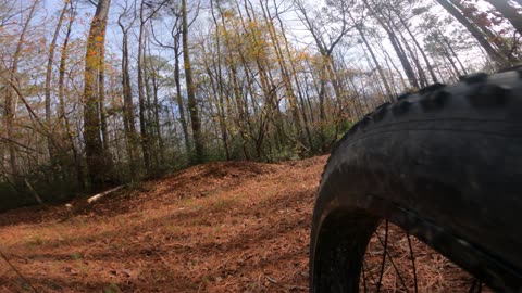Behind The Lake