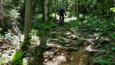 Picking Through Roots and Rocks