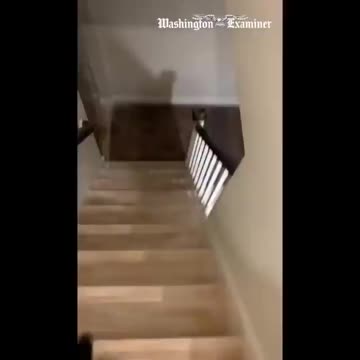 Hunter Biden Arguing With His Russian Linked Escort Over Payments