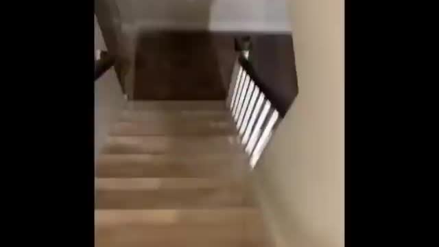 Hunter Biden Arguing With His Russian Linked Escort Over Payments