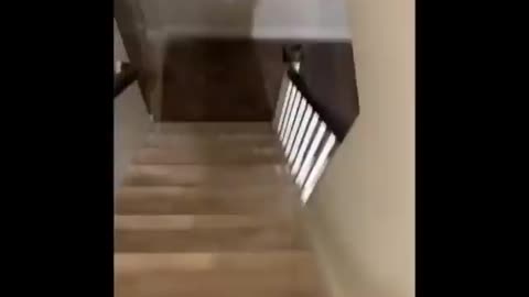 Hunter Biden Arguing With His Russian Linked Escort Over Payments