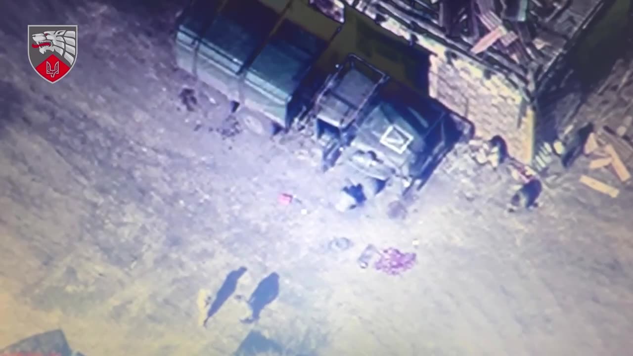 Russian Soldier Worried About Geese Working for the Ukrainians(Hilarious Comms Intercept)