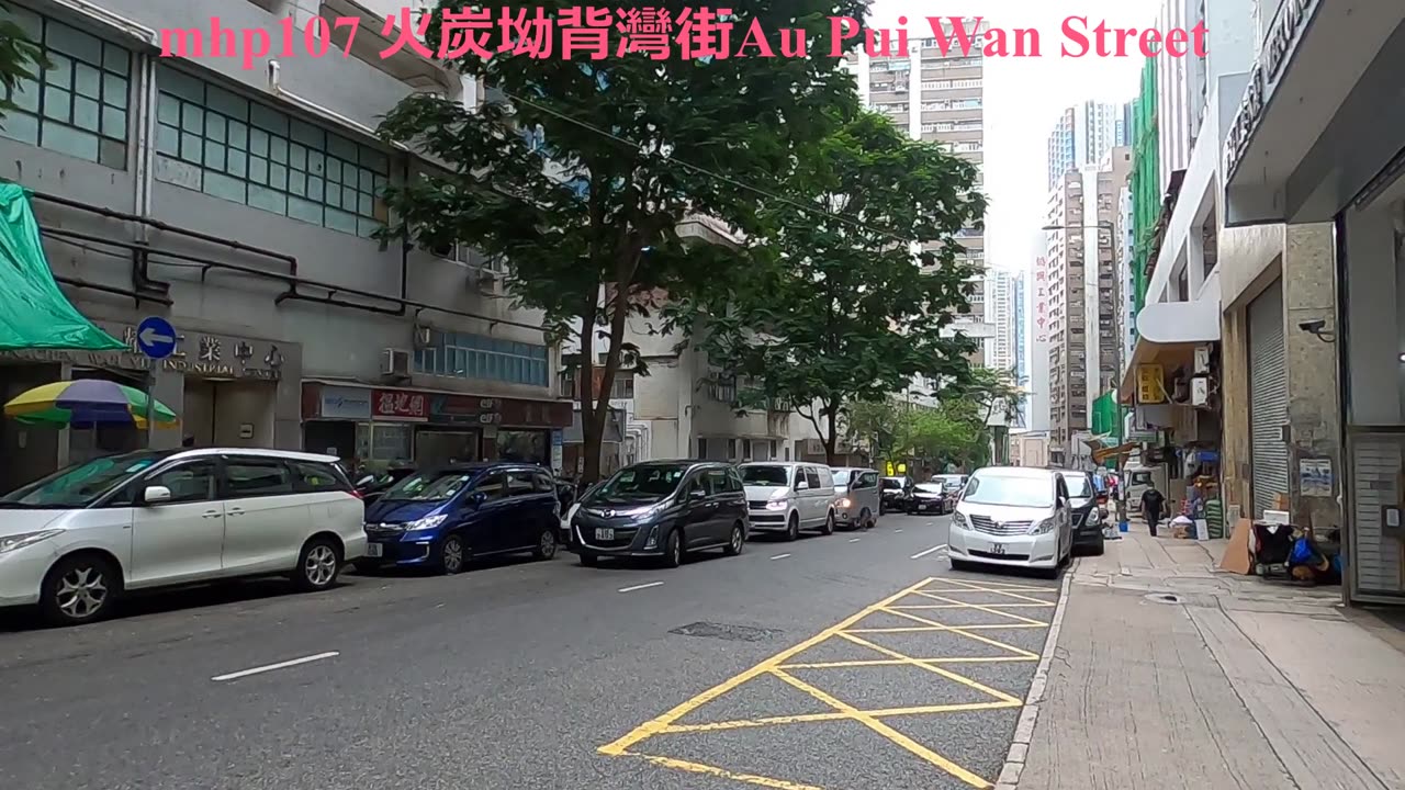 #坳背灣街。火炭Au Pui Wan Street mhp107 may2020