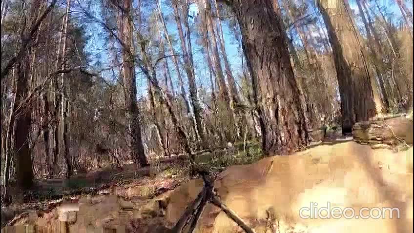 First-person shootout