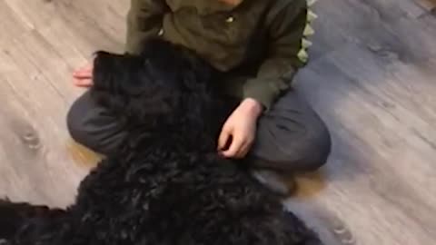 Heartwarming Moment: Foster Child Shares Adoption Story with Loving Dog!