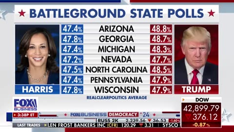 Trump leads on taking on the most important voter issues, Democratic pollster says