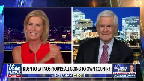 The Ingraham Angle: Newt Gingrich, What is Costing Democrats Votes in Every Community