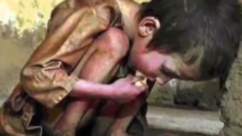 White Genocide In South Africa