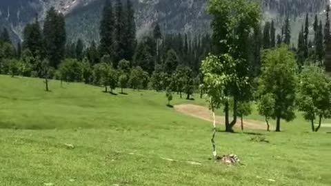 Azad kashmir# nature status#