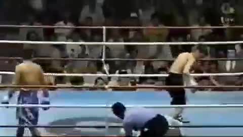 funny situations in boxing