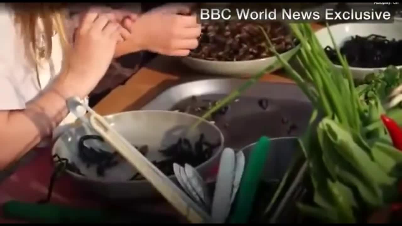 ΦΑΤΕ ΕΝΤΟΜΑ ΣΑΝ ΤΗΝ ΑΤΖΕΛΙΝΑ ΤΖΟΛΙ.