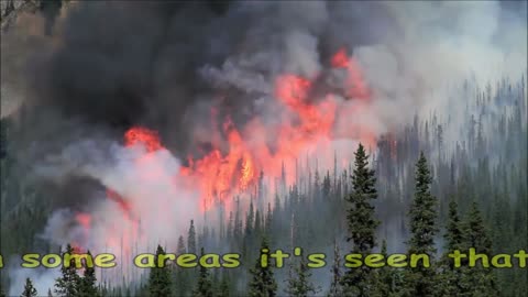 Amazon Rainforest is on FIRE🔥🌳🔥