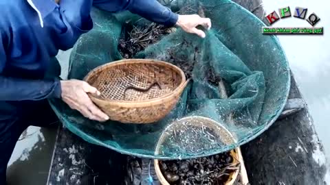 đặt ụ lươnđặt ụ lươnđặt ụ lươn