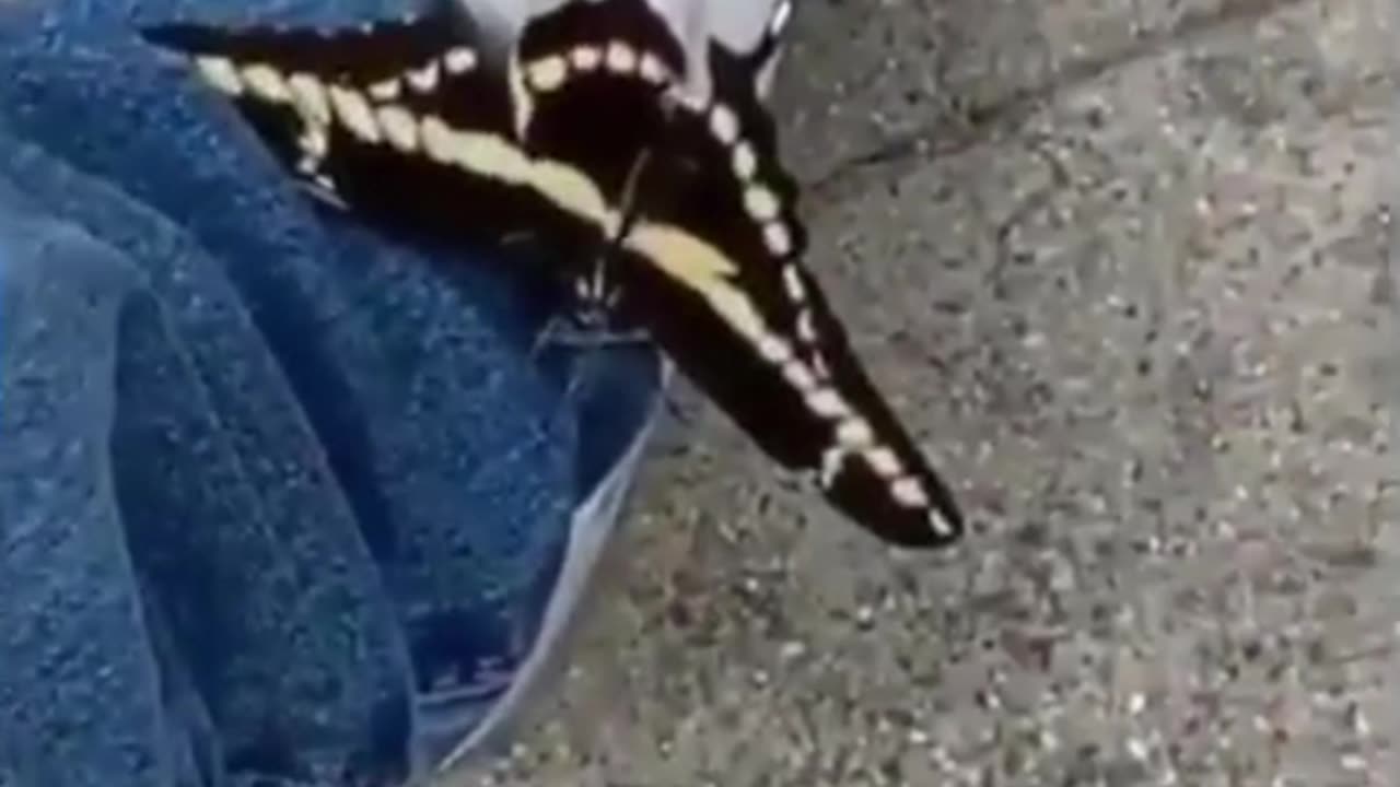 When I Try to Help a Friend