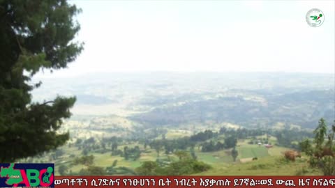 ጥቅምት 29፣ 2024 ONM-ABO እለታዊ የኦሮሞ ነፃነት ሰራዊትና የኦሮሚያ ውሎ!