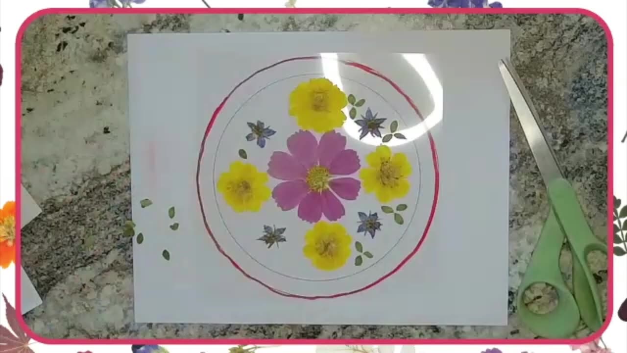 Pressed Flower Projects: Suncatchers