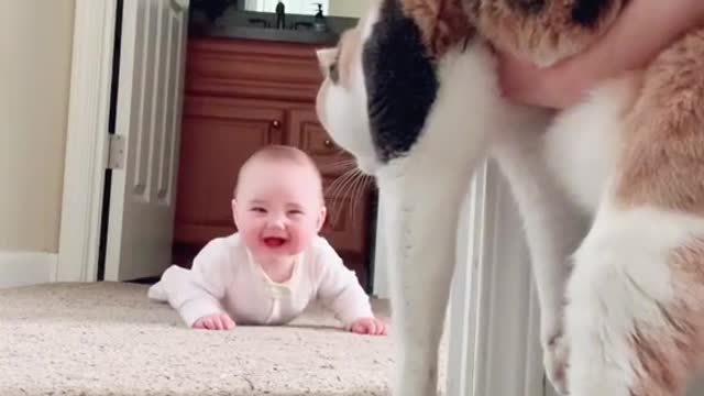 Cat and child