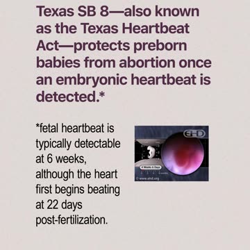 The Truth About Texas Pro-Life Laws